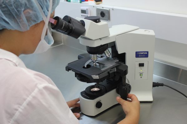 analisemicro